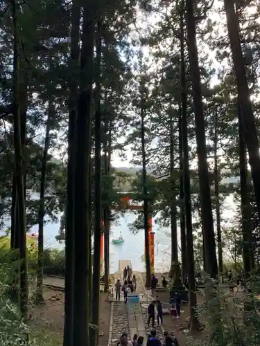 箱根神社の景色