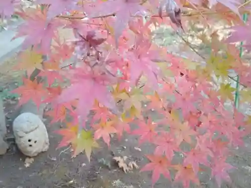 法華寺(神奈川県)