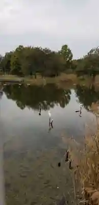 高須香取神社の動物