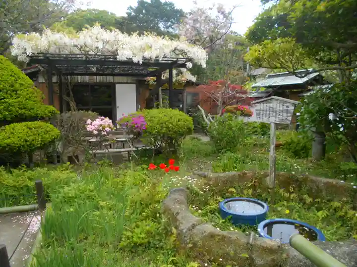 極楽寺(霊鷲山感應院極楽律寺)の庭園