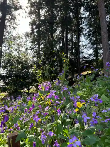 八幡神社(神奈川県)