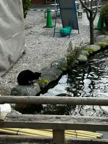 霊山寺(徳島県)