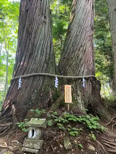 戸隠神社火之御子社(長野県)