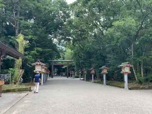 宮崎神宮の自然