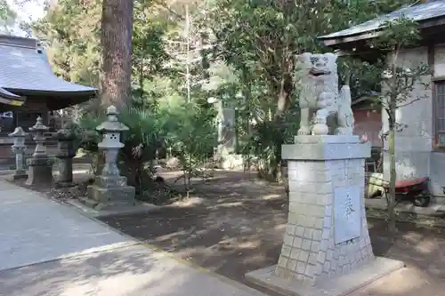 五所神社の狛犬