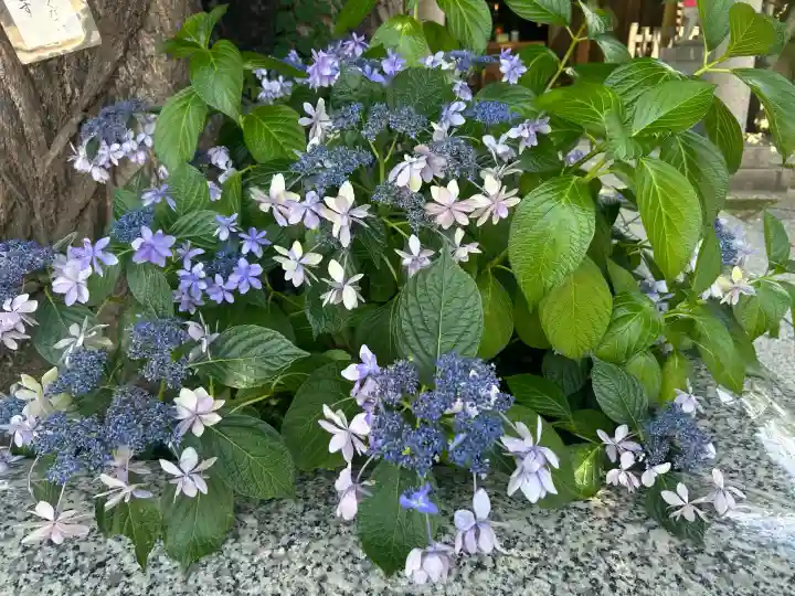 飛木稲荷神社(東京都)