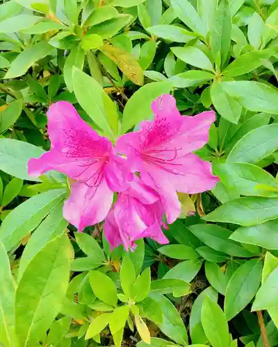 實相山　正法院(静岡県)