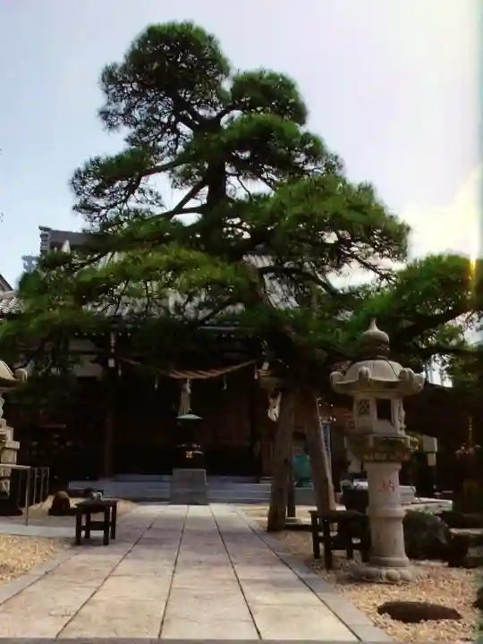 瑞光寺(東京都)
