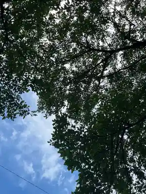 加波山神社真壁拝殿(茨城県)