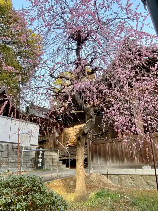 若狭野天満神社のその他建物