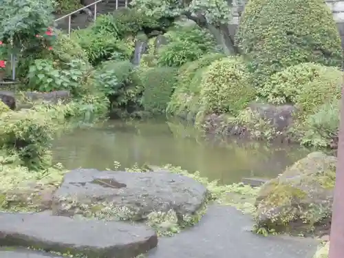 西光寺の庭園