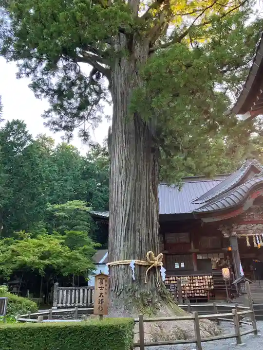 北口本宮冨士浅間神社(山梨県)