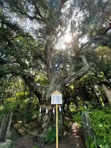 白羽神社の自然