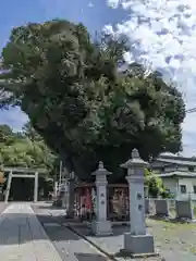 味美白山神社(愛知県)