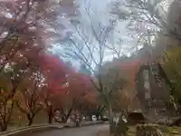 英彦山豊前坊高住神社(福岡県)