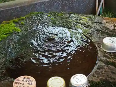 藤井寺の手水舎