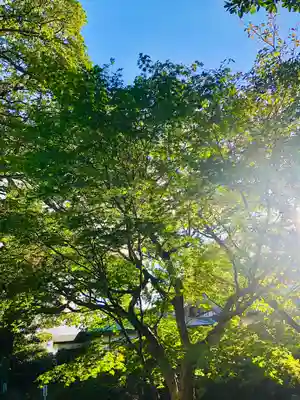 蚶満寺(秋田県)