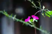 浄土寺(兵庫県)