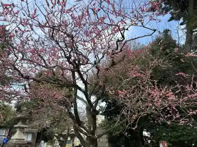 北野天満宮(京都府)