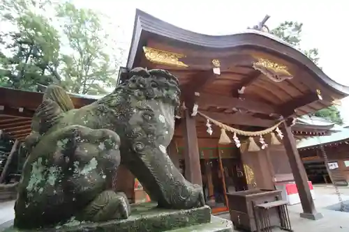 岩槻久伊豆神社の狛犬