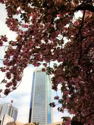 荘厳寺(東京都)