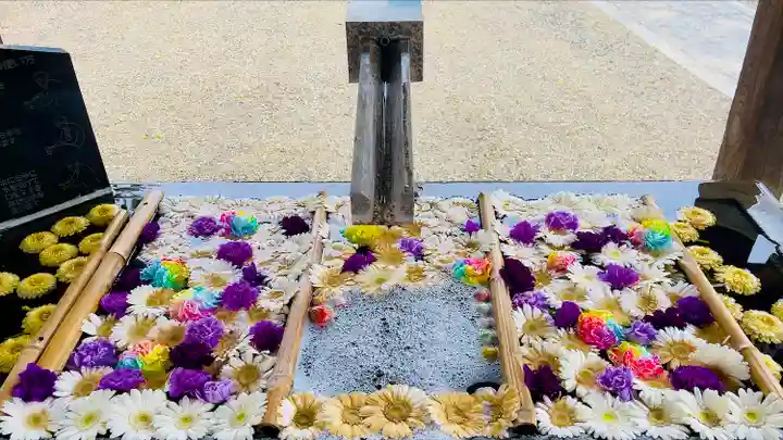 草加神社の手水舎