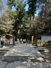 鹿島神宮(茨城県)