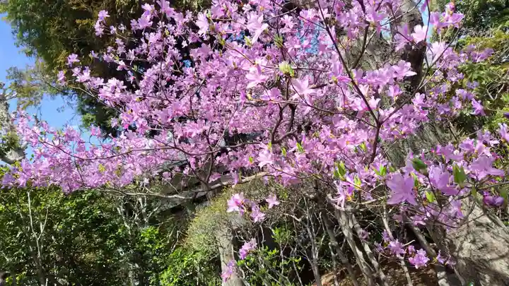 霊源院(京都府)
