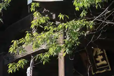 阿邪訶根神社の本殿・本堂