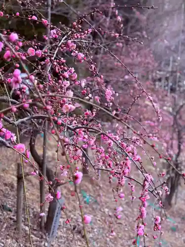 大縣神社(愛知県)
