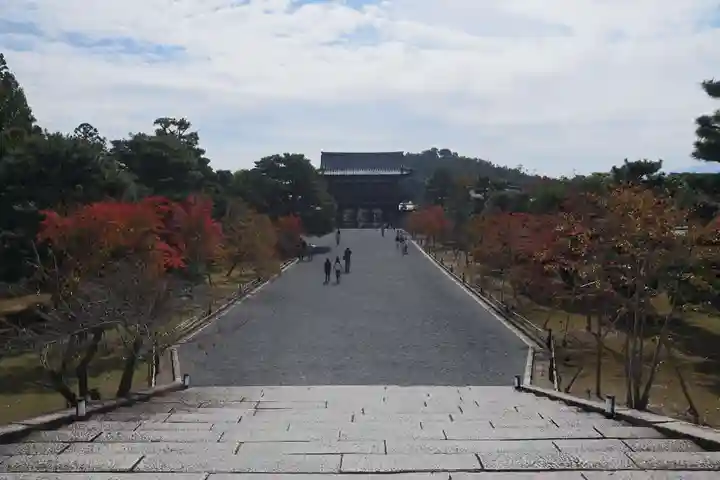仁和寺の景色
