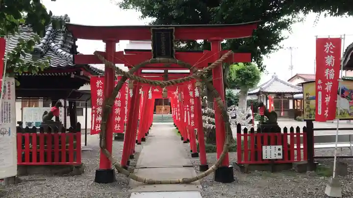 於菊稲荷神社の鳥居