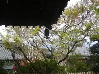 長谷寺のその他建物