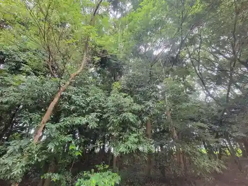 森正八幡神社(愛媛県)