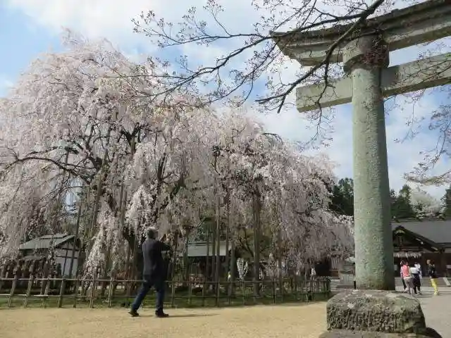 足羽神社(福井県)
