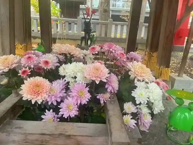 彌彦神社 (伊夜日子神社)の手水舎