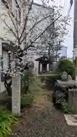 善念寺(京都府)