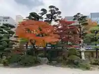 東長寺の自然