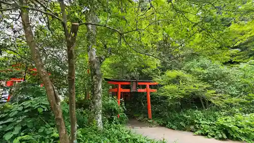 箱根神社の鳥居