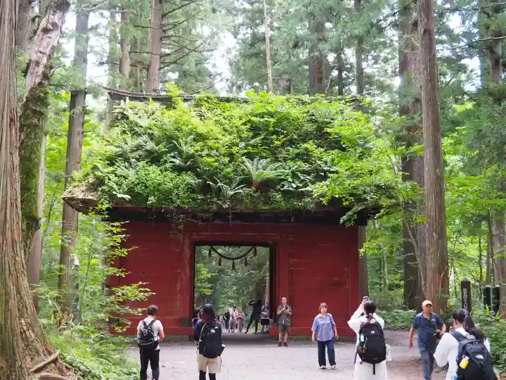 戸隠神社九頭龍社(長野県)