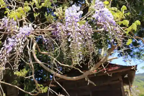 深山神社の庭園