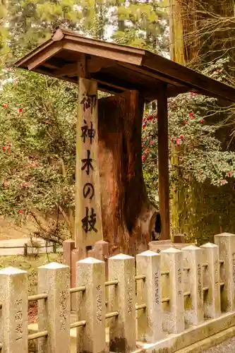 草部吉見神社(熊本県)