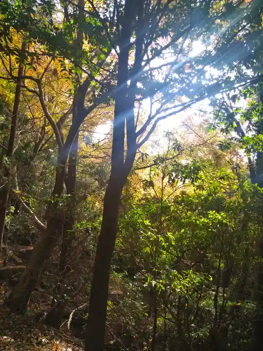 御山神社(厳島神社奧宮)(広島県)