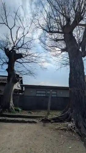 公禮八幡神社(滋賀県)