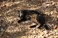 玉野御嶽神社(愛知県)