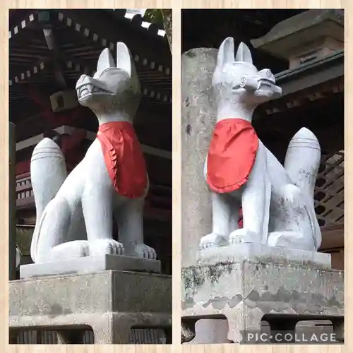 由加山 由加神社本宮の狛犬