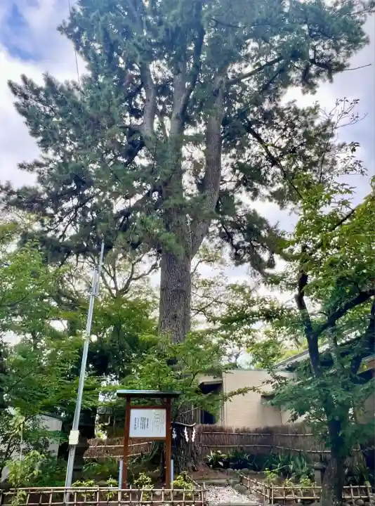 宗像神社(静岡県)