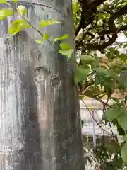 平河天満宮の建物その他