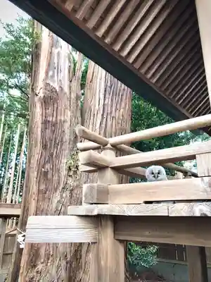 鹿嶋三嶋神社(茨城県)