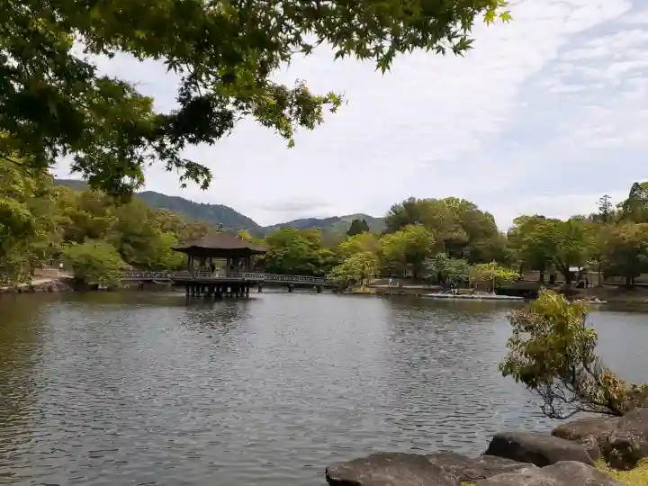 龍王珠石の{uncategorized: "未分類", other: "その他", undefined: "問題あり", building: "その他建物", grave: "お墓", sacred_gate: "鳥居", guardian: "狛犬", statue: "像", buddha: "仏像", history: "歴史", nature: "自然", garden: "庭園", animal: "動物", pagoda: "塔", temizu: "手水舎", mountain_gate: "山門・神門", sanctuary: "本殿・本堂", subordinate: "末社・摂社", art: "芸術", scenery: "景色", jizo: "地蔵", ema: "絵馬", goshuin: "御朱印", omikuji: "おみくじ", items: "授与品その他", amulet: "お守り", goshuincho: "御朱印帳", eats: "食事", festival: "お祭り", votive_dance: "神楽", shichigosan: "七五三参", wedding: "結婚式", experience: "体験その他", initially: "初詣", around: "周辺", anti_infection: "感染症対策"}